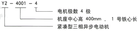 YR系列(H355-1000)高压YR5004-10三相异步电机西安西玛电机型号说明